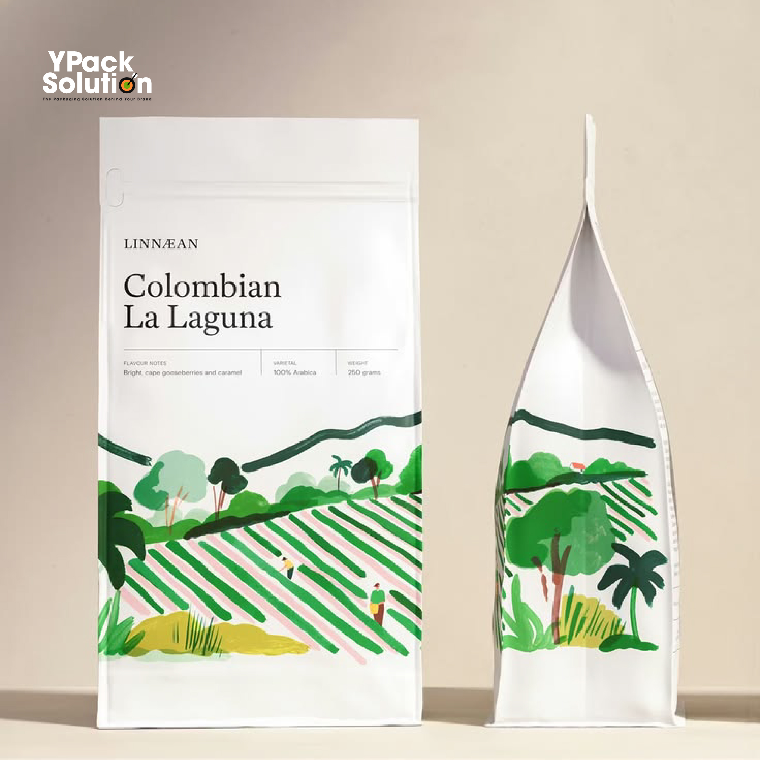4 Ý Tưởng Đổi Mới Bao Bì Cafe Thu Hút Khách Hàng Và Xu Hướng In Ấn 2026 4 ypack 4 y tuong tui cf 1 copy 4